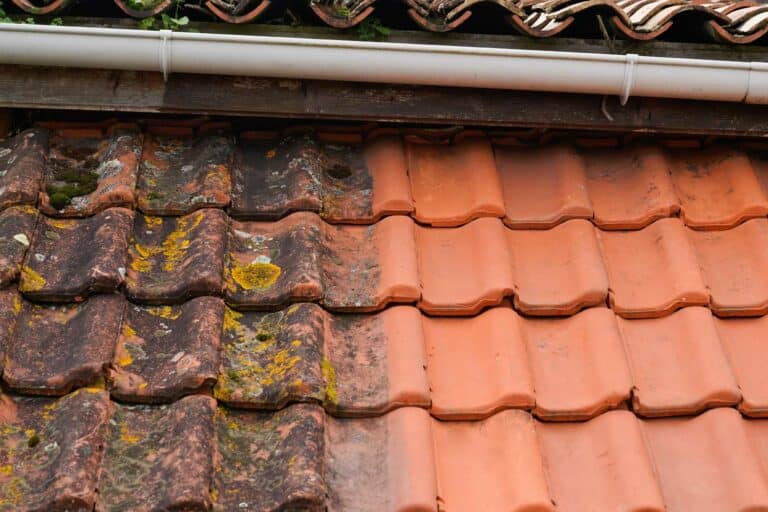 Retirer la mousse de sa toiture ou façade en Provence Marseille