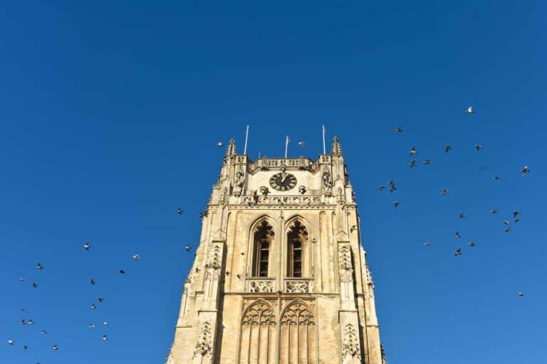 Se débarrasser des pigeons Église Marseille Aubagne